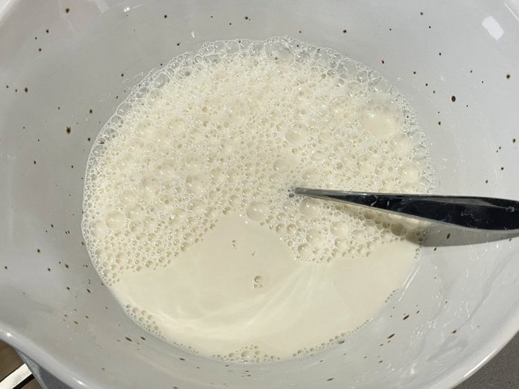 jäst och mjölk i bunke